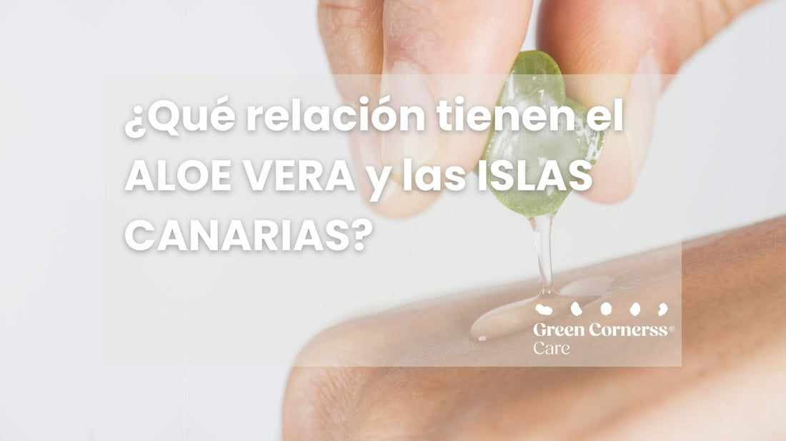 ¿Qué relación tiene el Aloe vera con las Islas Canarias?