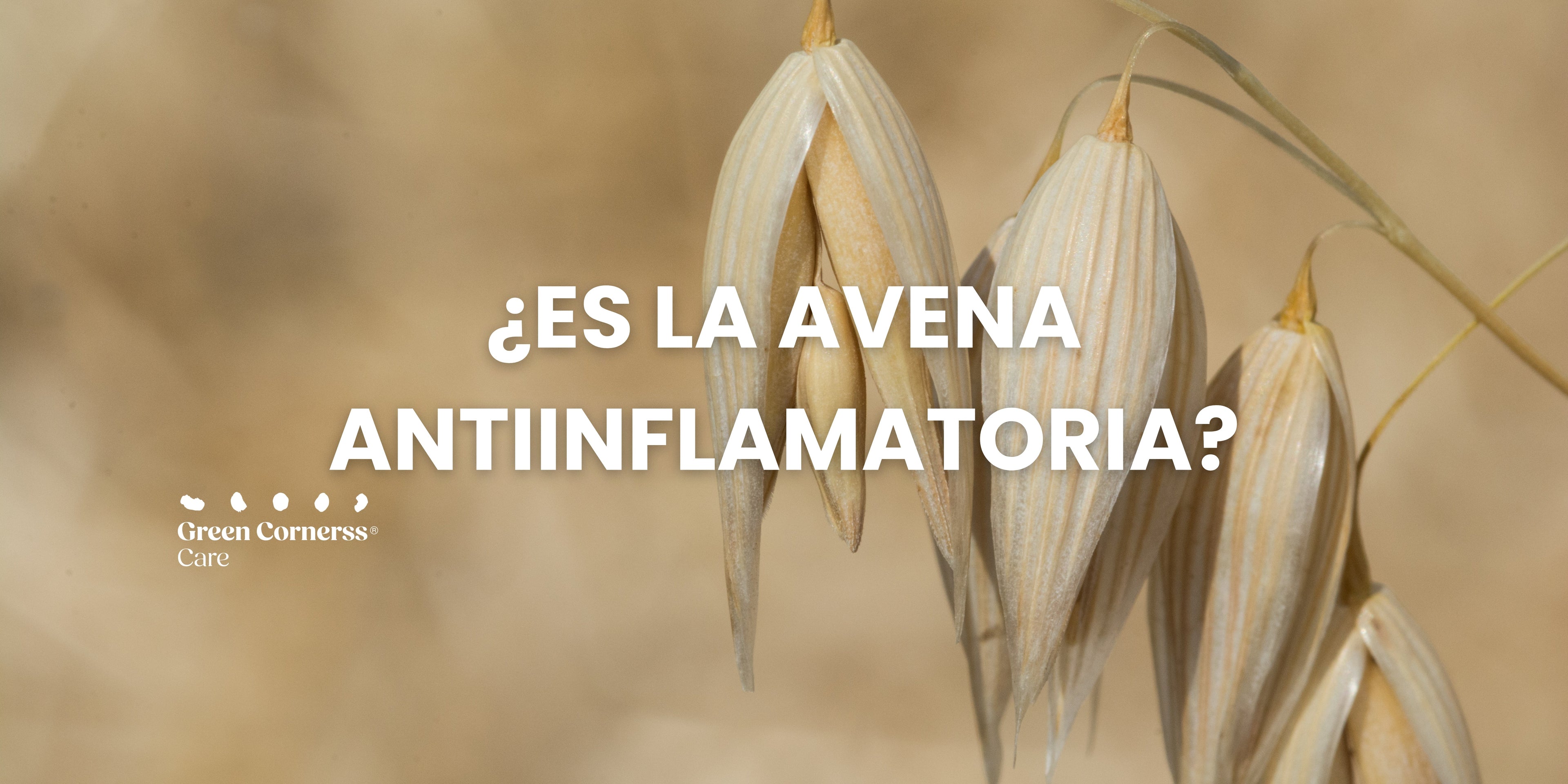 ¿La avena es antiinflamatoria?