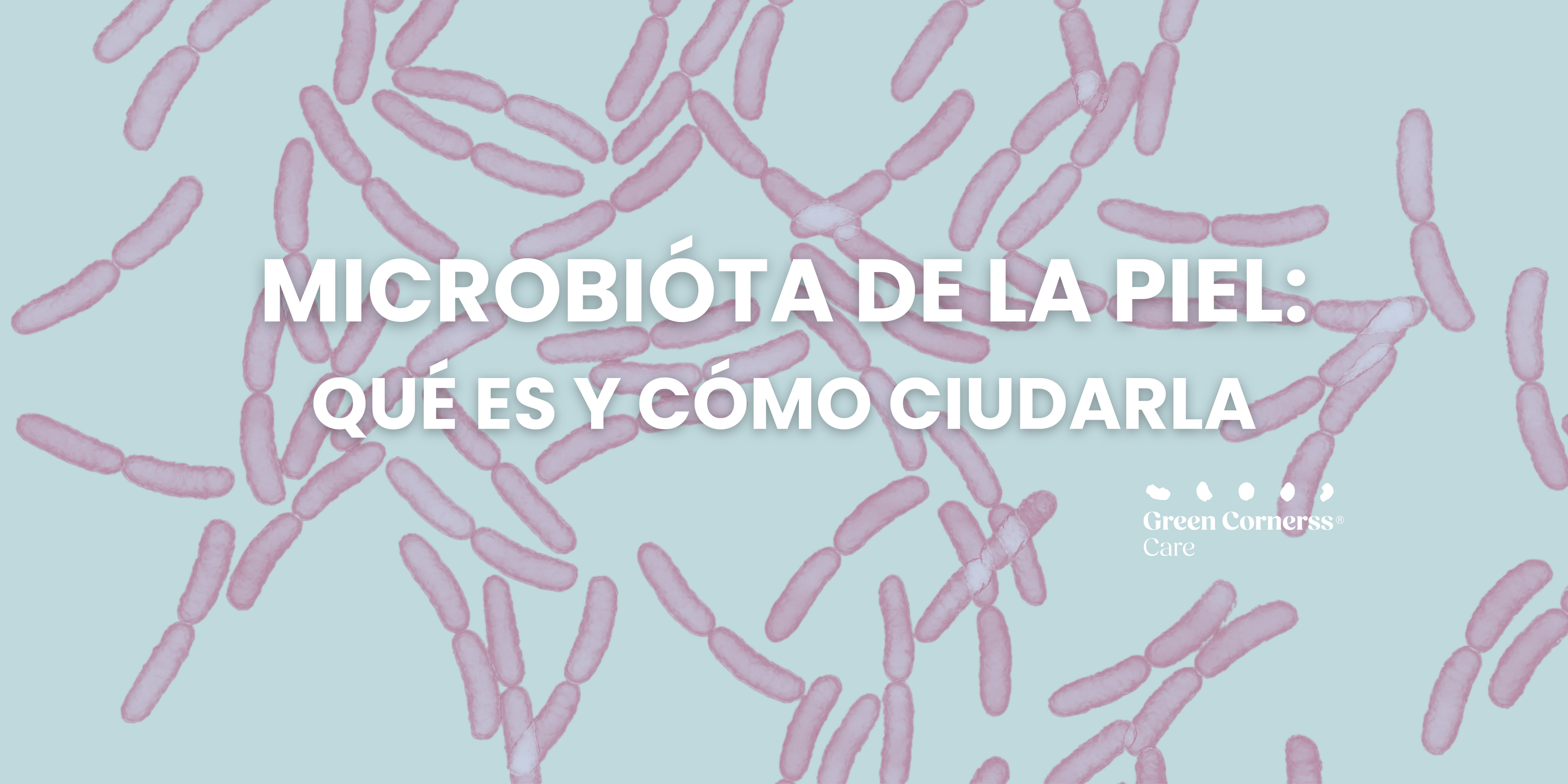 Microbiota de la piel y cómo tratarla