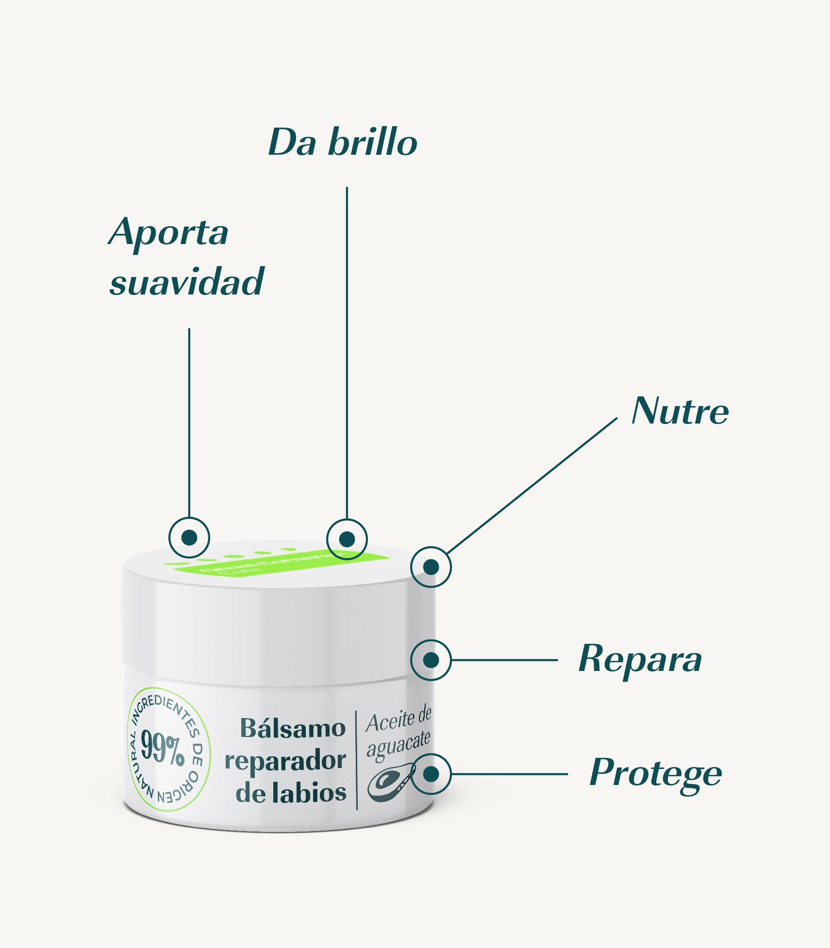 Bálsamo labial reparador con aguacate